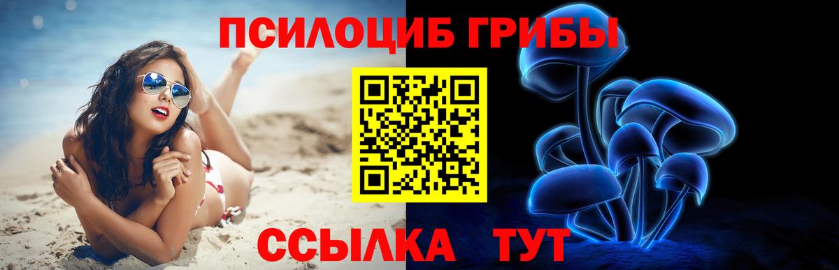 Псилоцибиновые грибы мухоморы  Вход с VPN  Тында 